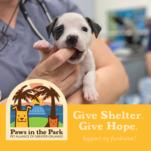 Fundraising Page: Annabella Diaz-Cruz